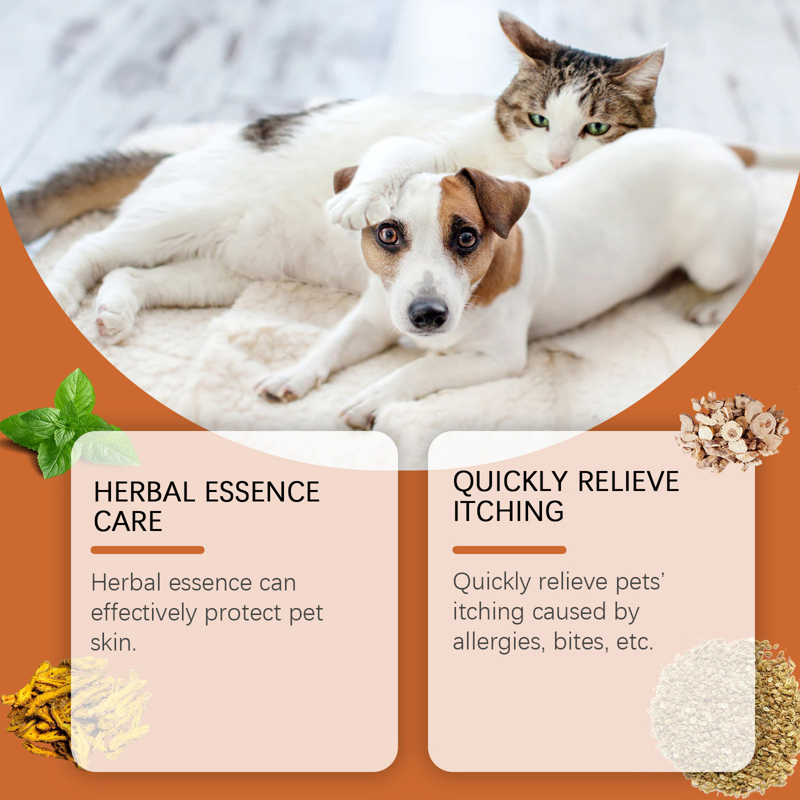 Novo animal de estimação antic - Skincare Animate avaliação e preço
